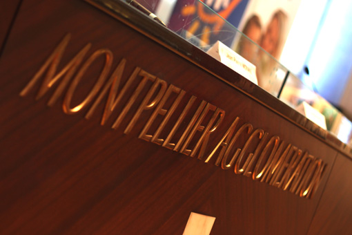 Dans la salle du conseil de l'agglomération de Montpellier le 30 mai 2012 (photo : J.-O. T.)