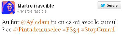 Judith Capelier, porte-parole du PS, s'adresse à la députée Anne-Yvonne Le Dain via Twitter sur le non-cumul des mandats (copie d'écran)