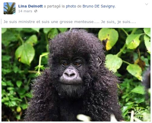 Sur la page Facebook de Lina Delnott, élue de la liste de Stéphan Rossignol (UMP) (capture d'écran)