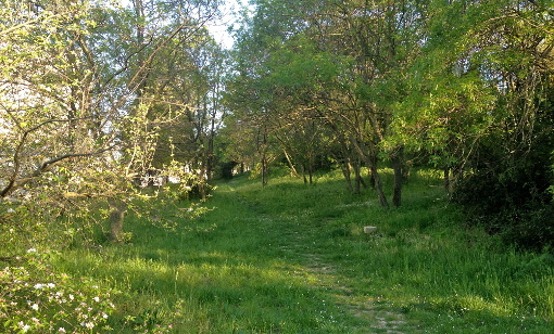 A Las Rébès, un espace vert de plus d'un hectare menacé (photo : Lucie Lecherbonnier)