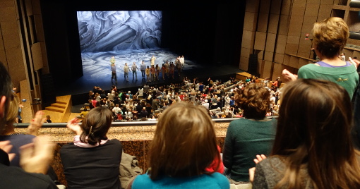 Lors d'un spectacle de Montpellier danse le 24 novembre 2015 au Corum (photo : Jacques-Olivier Teyssier)