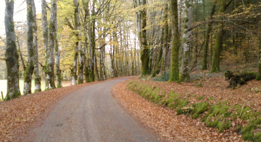 En arrivant sur le plateau de Millevaches (photo : J.-O. T.)