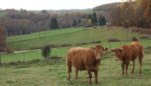 Dans le Périgord vert en novembre 2016 (photo : J.-O. T.)